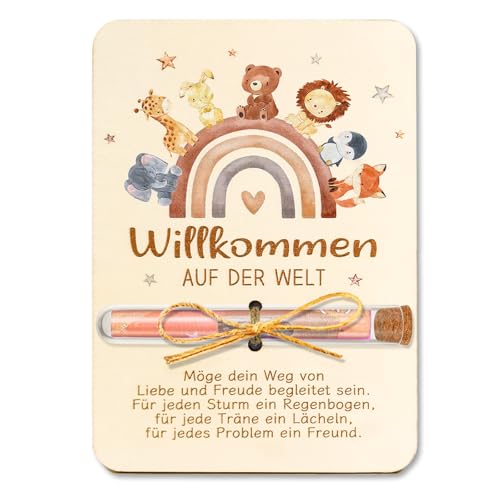 Geschenke zur Geburt, Geldgeschenk Verpackung Holz mit Reagenzgläser und Karte, Baby Geschenk zur Geburt Junge Mädchen, Regenbogentiere Geburtsgeschenk Babygeschenke